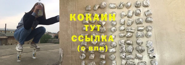 прущие грибы Баксан