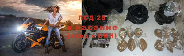 прущие грибы Баксан