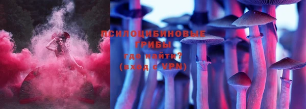 прущие грибы Баксан