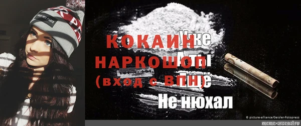прущие грибы Баксан
