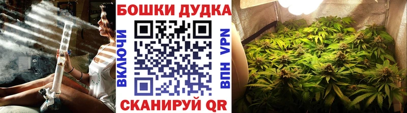 Бошки Шишки Amnesia Калининец